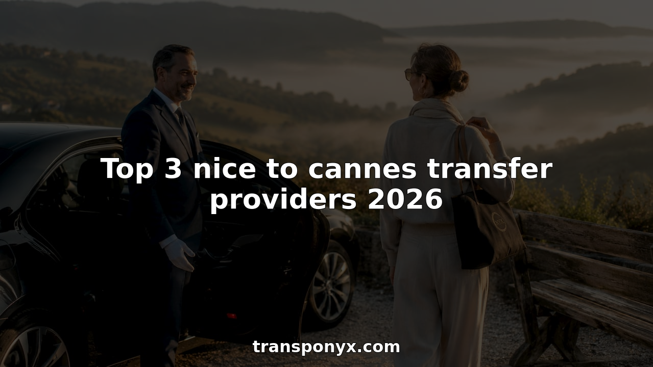 Chauffeur opening luxury car door at Nice airport