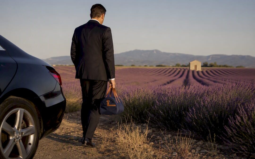 Mid June to Mid July: Provence lavender season 2026 and chauffeur tips