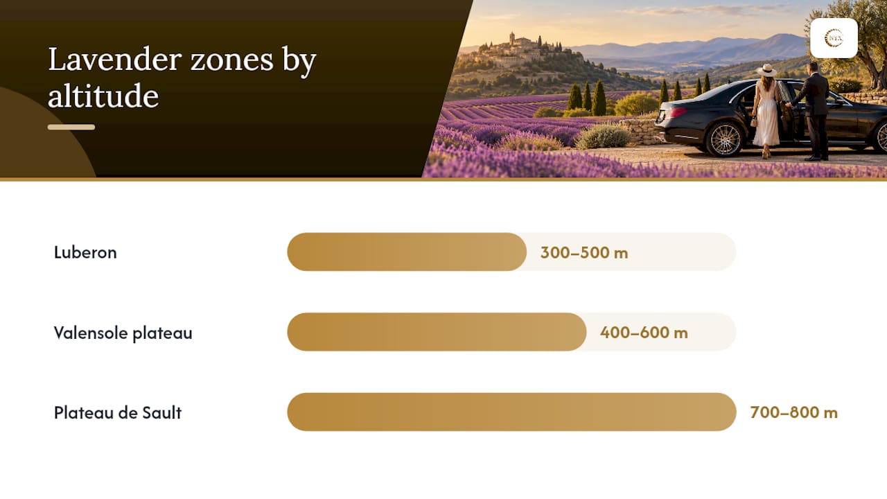 Provence lavender season 2026: area-by-area timing — overview diagram