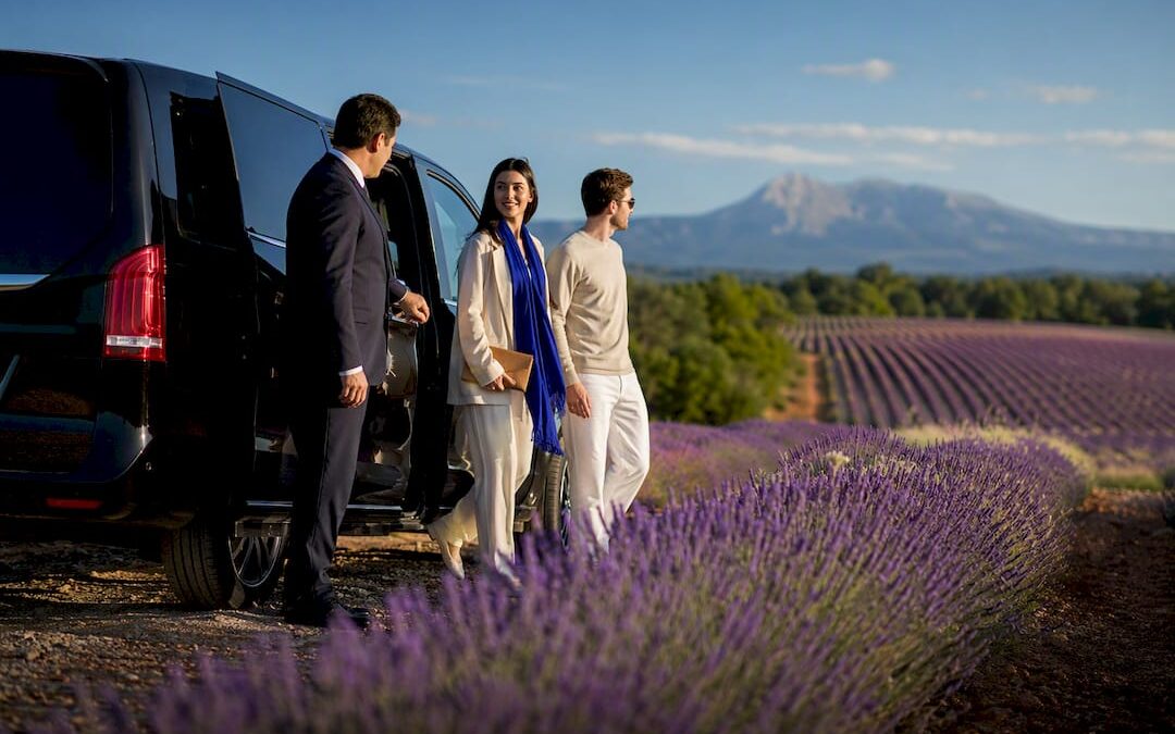9 Hour Day: Provence Lavender Tour From Nice With Private Driver