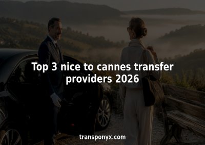 Chauffeur opening luxury car door at Nice airport