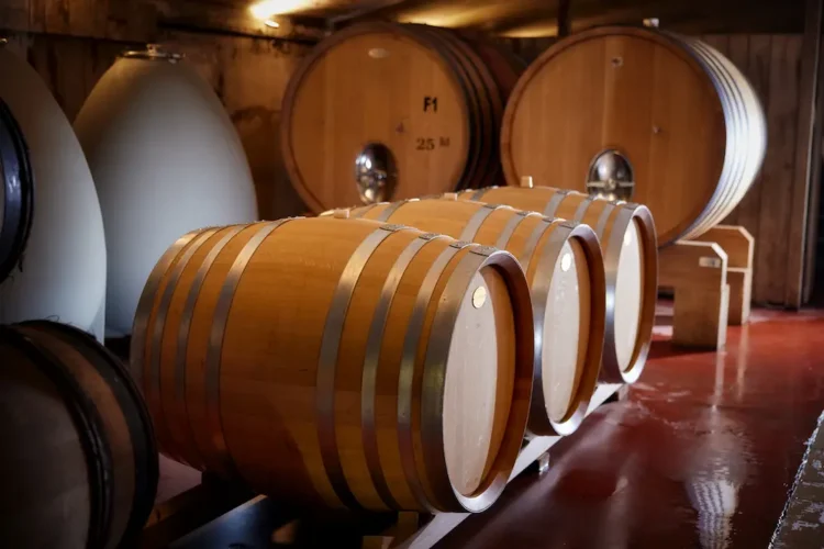 Château Malherbe vignes Méditerranée Provence