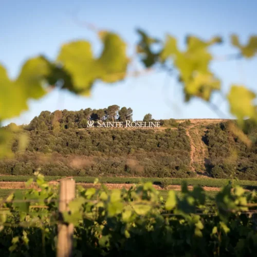 Château Sainte Roseline Cru Classé chapelle romane Chagall Les Arcs