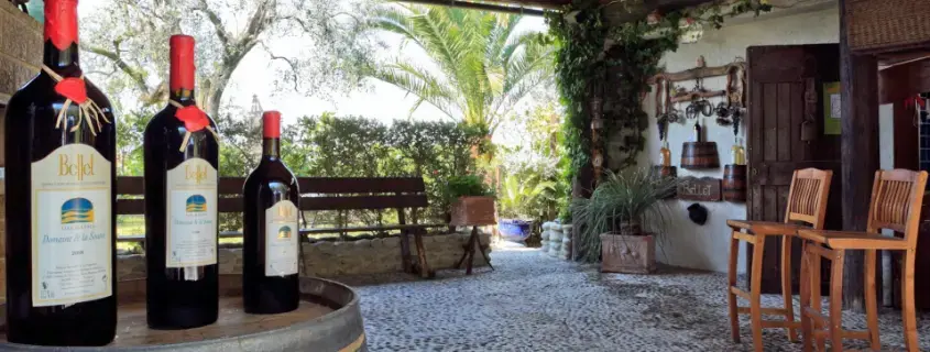 Dégustation vin Bellet AOC Nice French Riviera